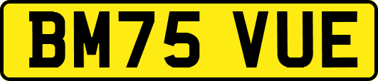 BM75VUE