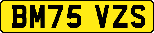 BM75VZS