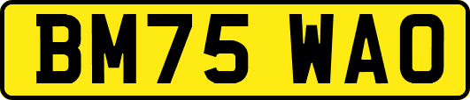 BM75WAO