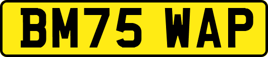 BM75WAP