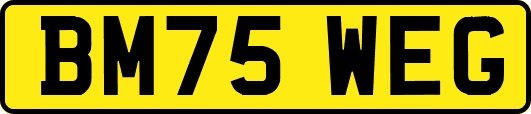 BM75WEG