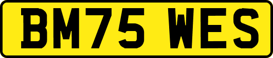 BM75WES
