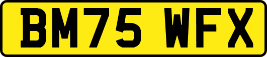 BM75WFX