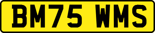 BM75WMS
