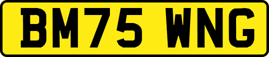 BM75WNG
