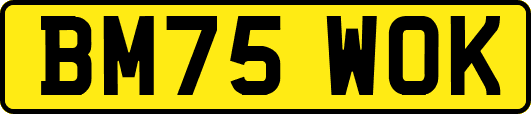 BM75WOK