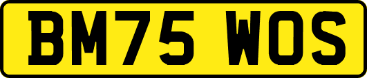 BM75WOS