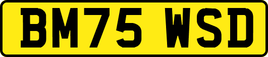 BM75WSD