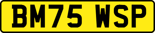 BM75WSP