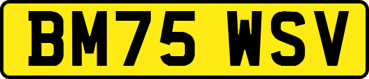 BM75WSV