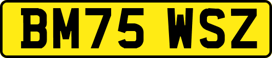 BM75WSZ