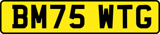 BM75WTG