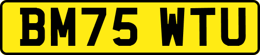 BM75WTU