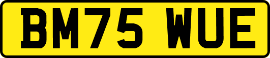 BM75WUE