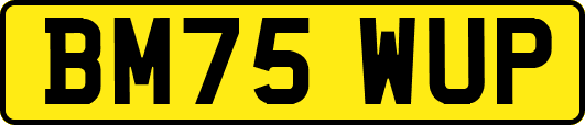 BM75WUP