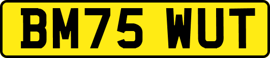 BM75WUT