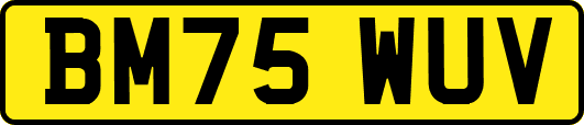 BM75WUV