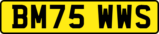 BM75WWS