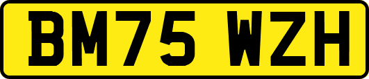 BM75WZH