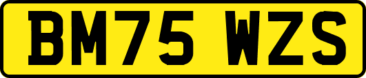 BM75WZS