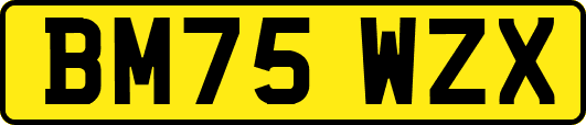 BM75WZX