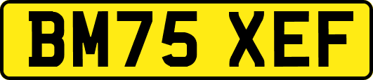 BM75XEF