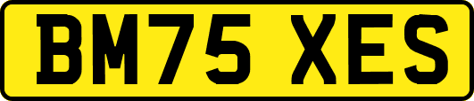 BM75XES