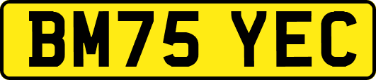 BM75YEC