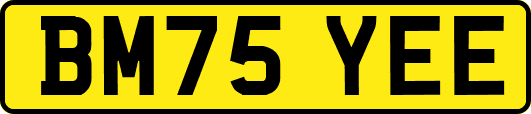 BM75YEE