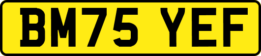 BM75YEF