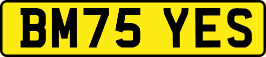 BM75YES