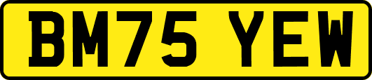 BM75YEW