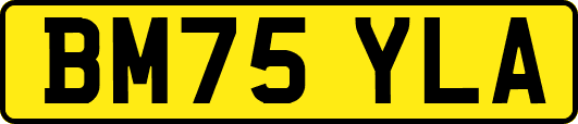 BM75YLA