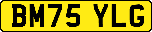 BM75YLG