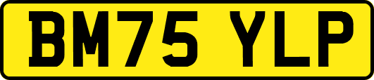 BM75YLP