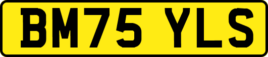 BM75YLS