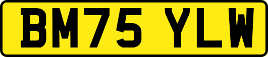 BM75YLW