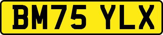 BM75YLX