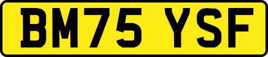 BM75YSF
