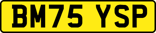 BM75YSP