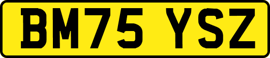 BM75YSZ