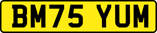 BM75YUM