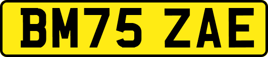 BM75ZAE