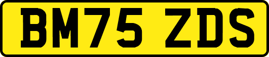 BM75ZDS