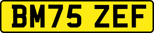 BM75ZEF