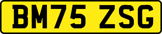 BM75ZSG
