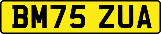 BM75ZUA