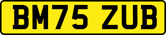 BM75ZUB
