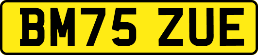 BM75ZUE