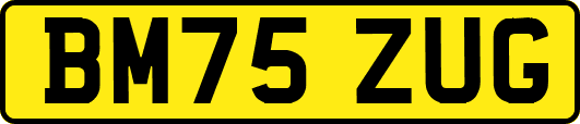 BM75ZUG